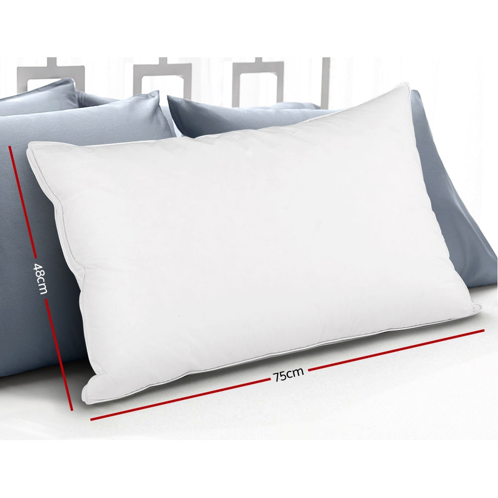Goose Feather Down Luxury Pillow - Twin Pack