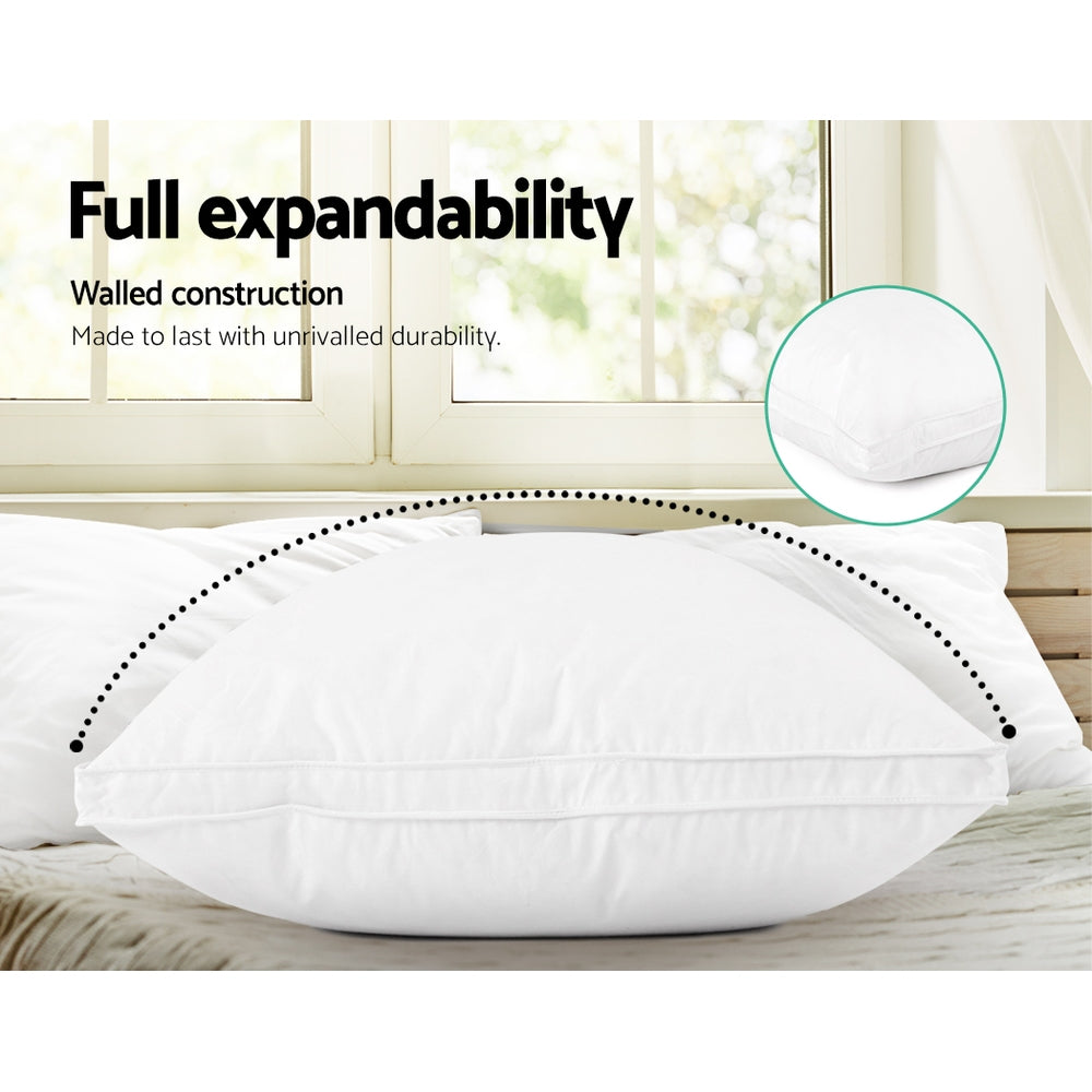 Goose Feather Down Luxury Pillow - Twin Pack
